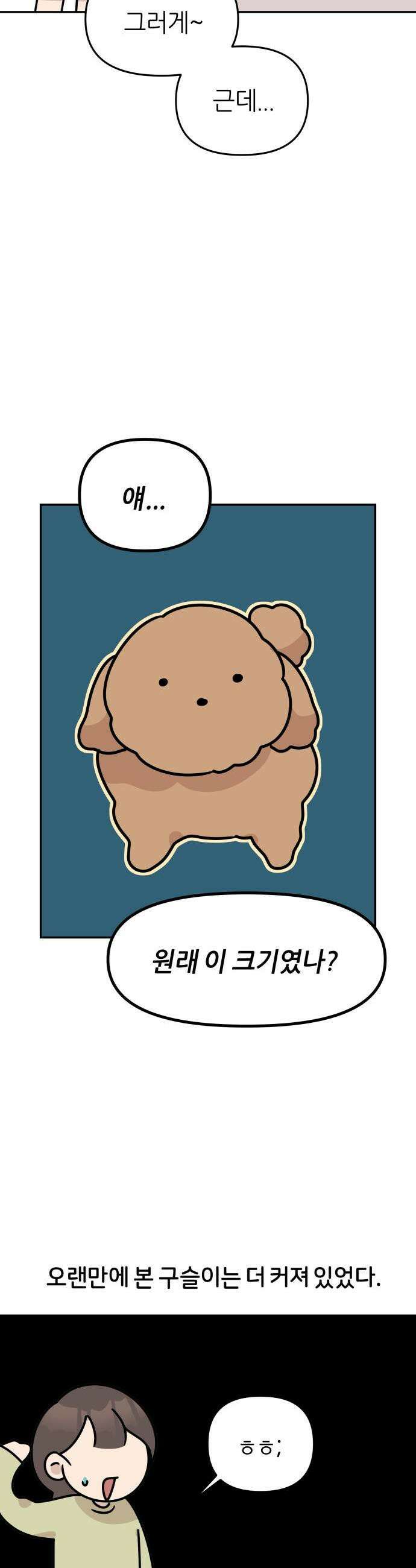 시바, 만만치 않다 81화 보호자들 근황토크 3