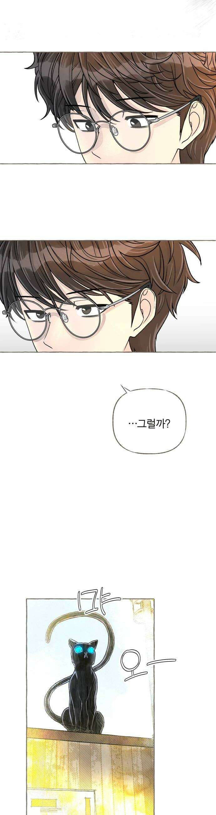 아이캣치유 15 사라진 행운 6