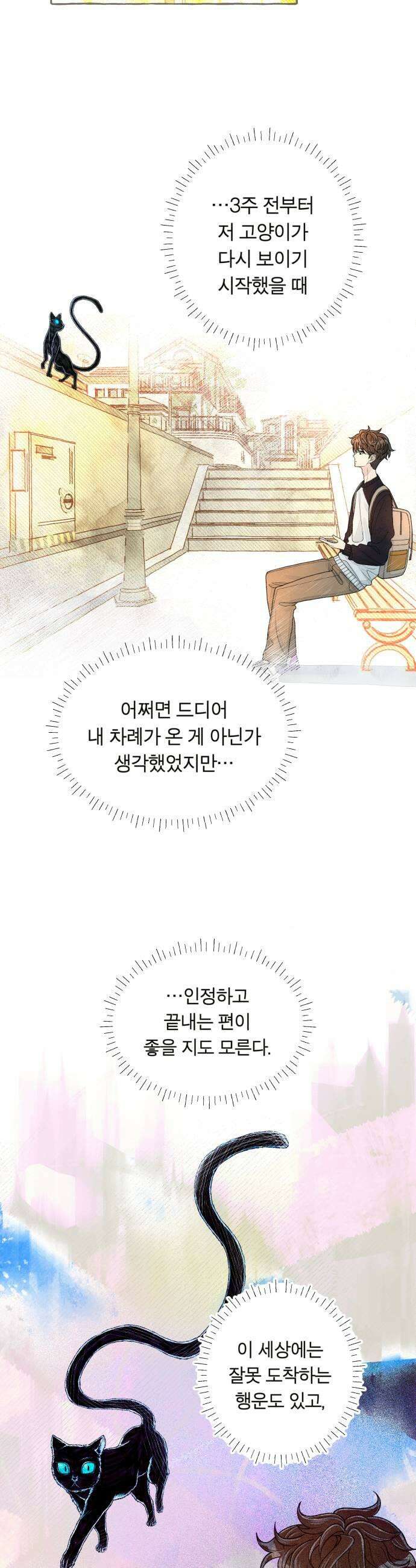 아이캣치유 15 사라진 행운 7