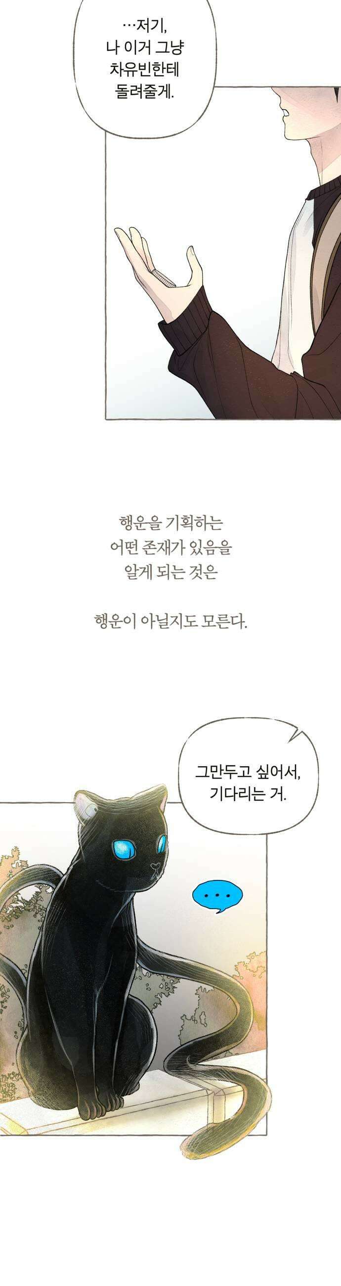 아이캣치유 15 사라진 행운 9
