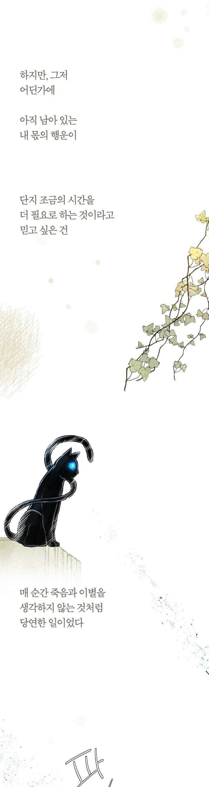 아이캣치유 15 사라진 행운 10