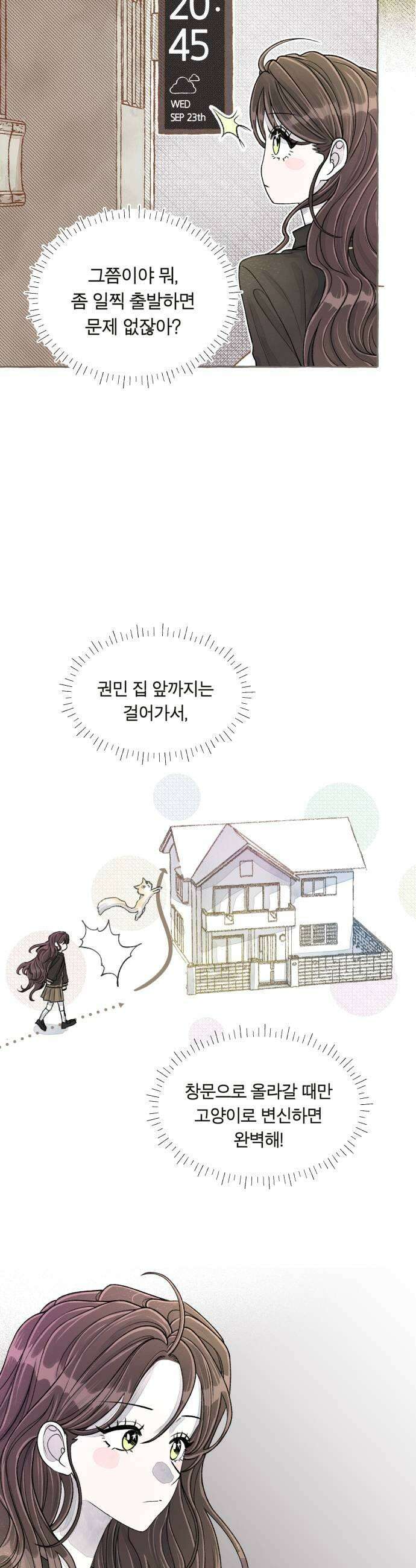 아이캣치유 15 사라진 행운 25
