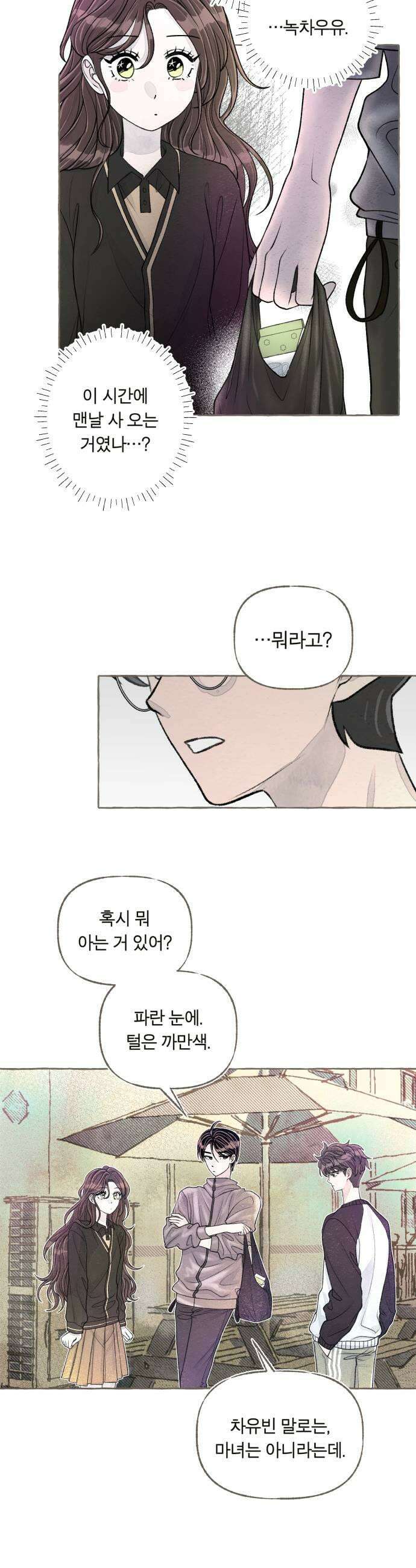 아이캣치유 15 사라진 행운 33