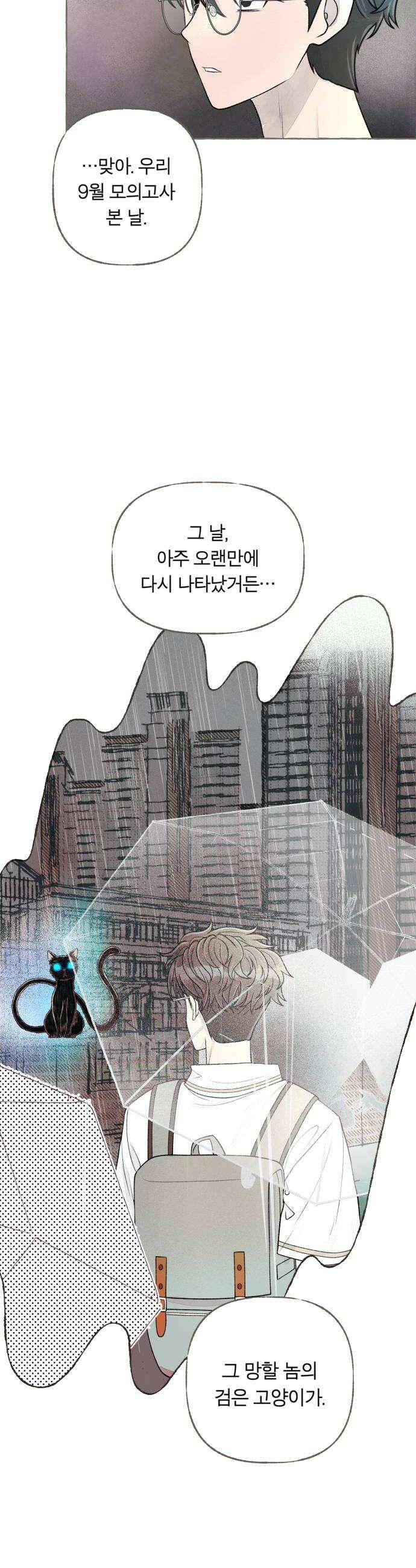 아이캣치유 15 사라진 행운 42