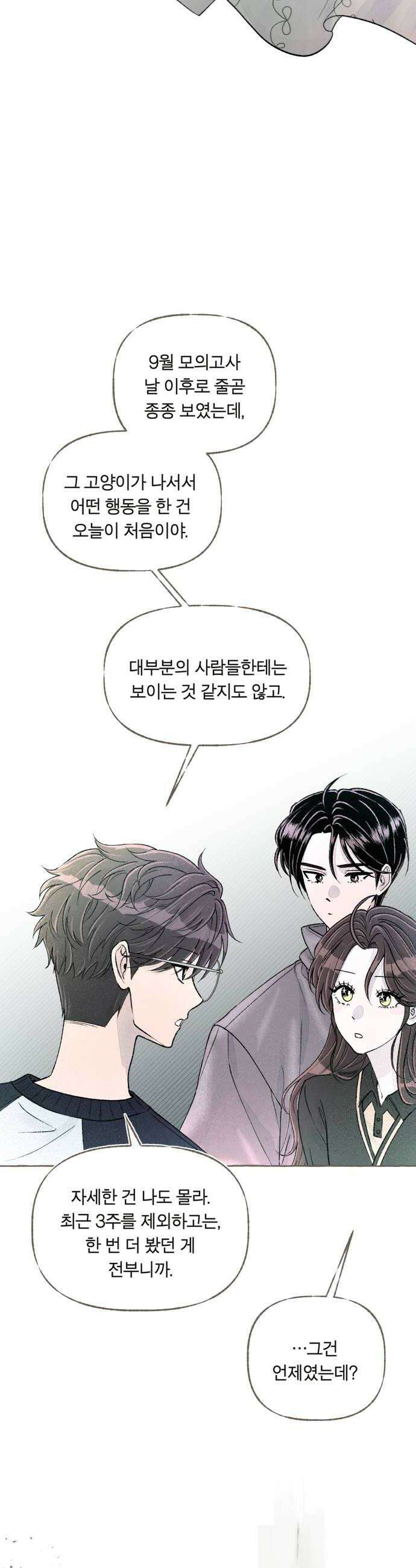 아이캣치유 15 사라진 행운 50