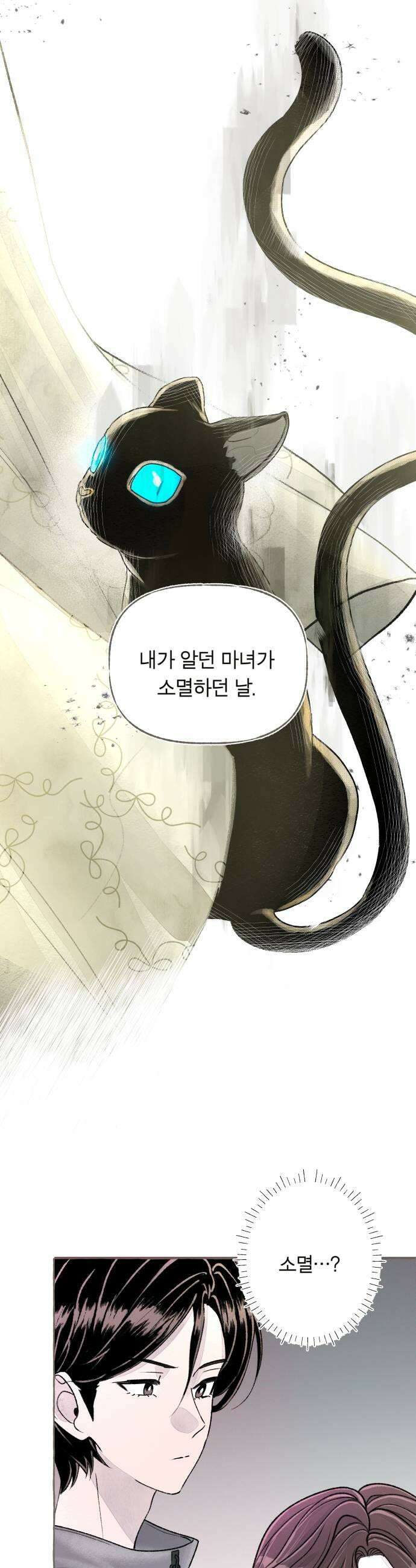 아이캣치유 15 사라진 행운 51