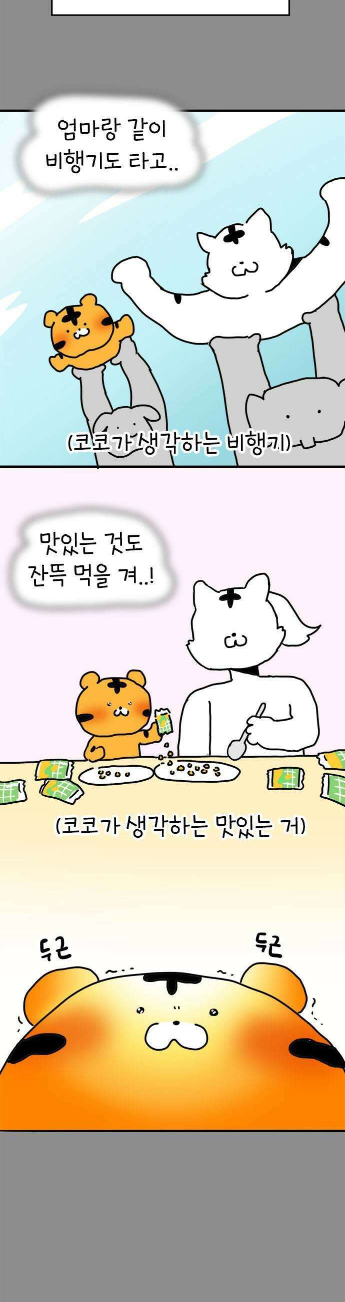 소심한 호랭이 코코 70화 돈독 오른 호랭이 코코 5 13