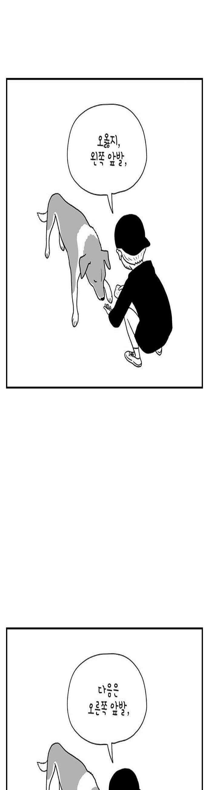 펫로스클럽 20 보목이의 난이도 3