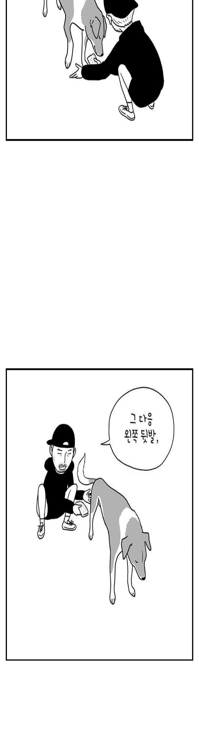 펫로스클럽 20 보목이의 난이도 4