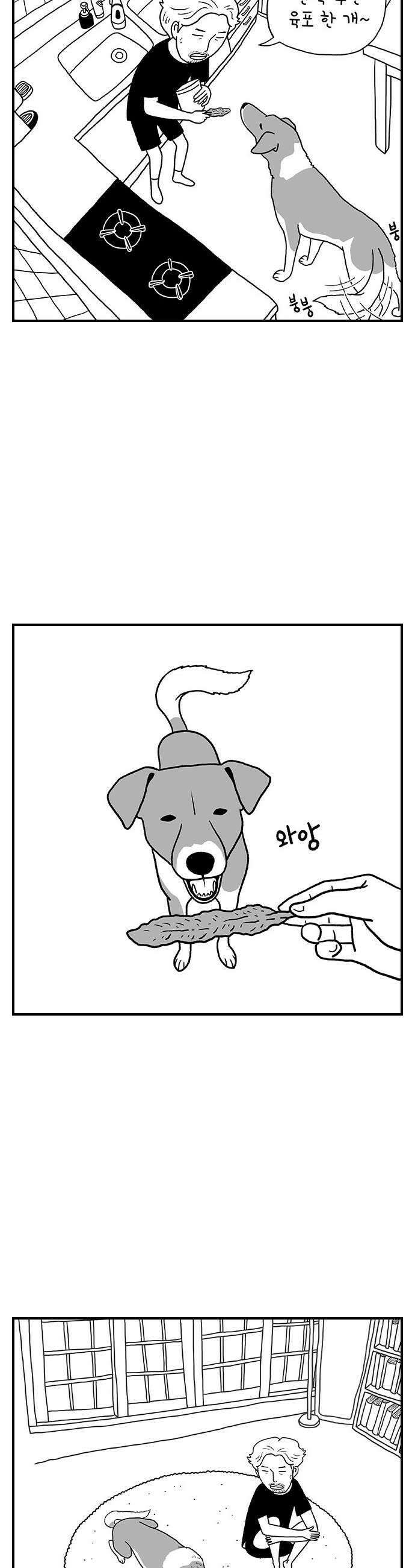 펫로스클럽 20 보목이의 난이도 6