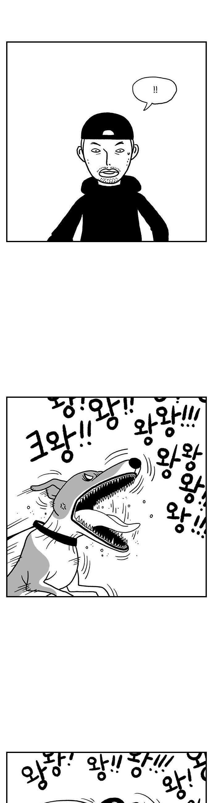 펫로스클럽 20 보목이의 난이도 9