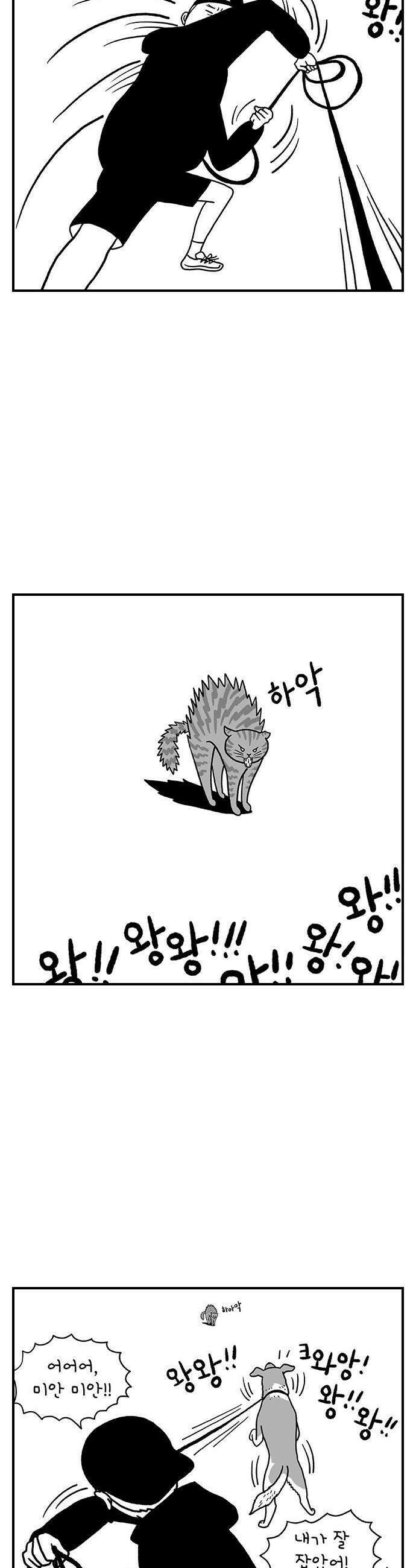 펫로스클럽 20 보목이의 난이도 10