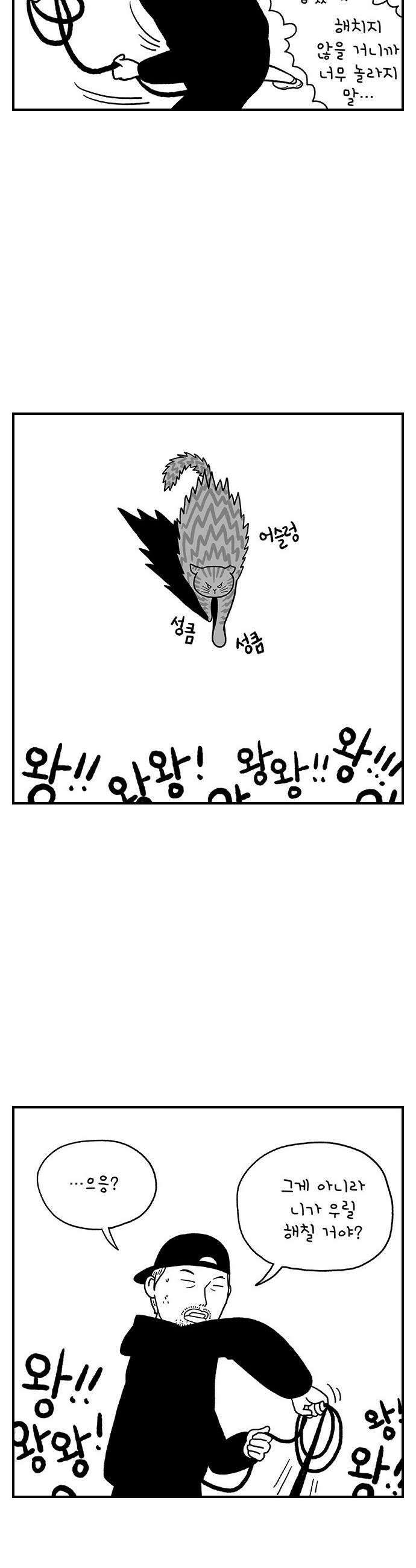 펫로스클럽 20 보목이의 난이도 11