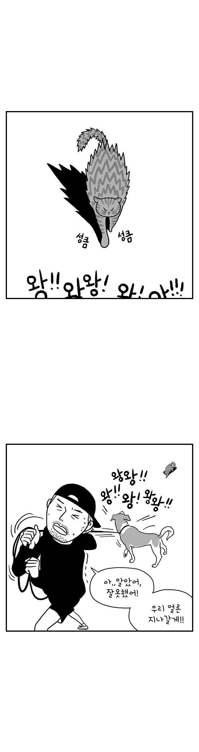 펫로스클럽 20 보목이의 난이도 12