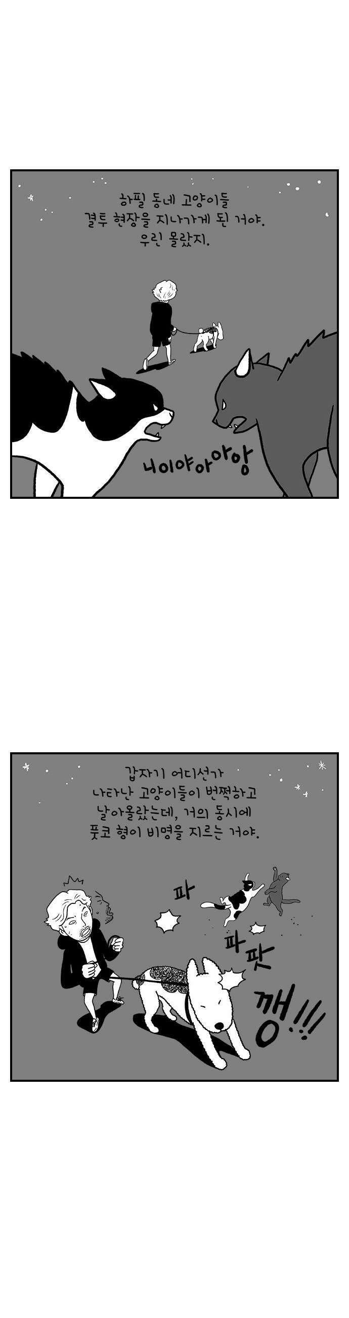 펫로스클럽 20 보목이의 난이도 16