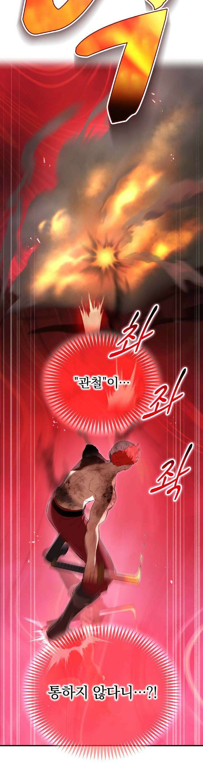 나만 최강 초월자 95화 불꽃의 문장 9