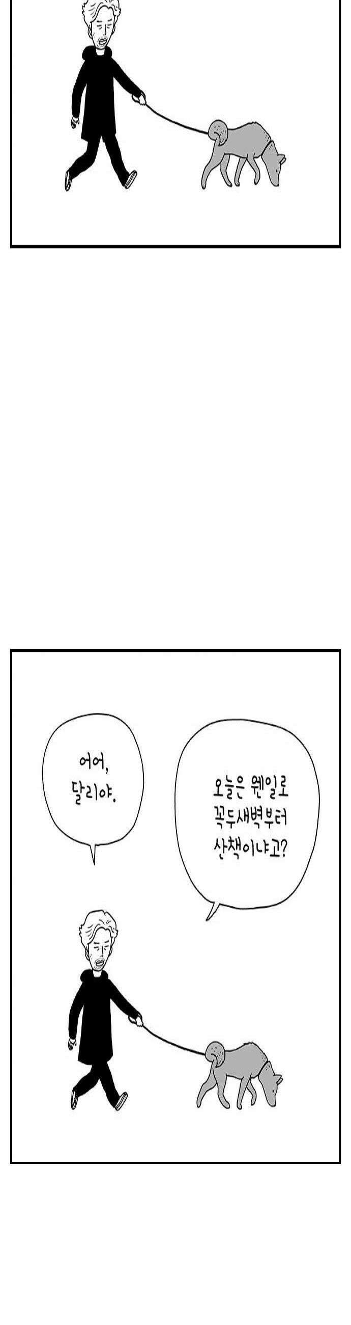 펫로스클럽 32 캘리 프롬 사우스 코리아 4