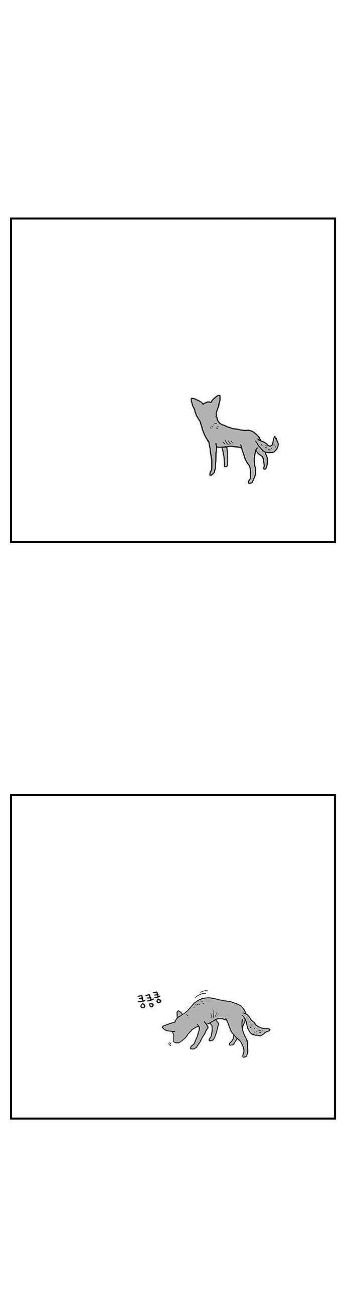 펫로스클럽 32 캘리 프롬 사우스 코리아 8