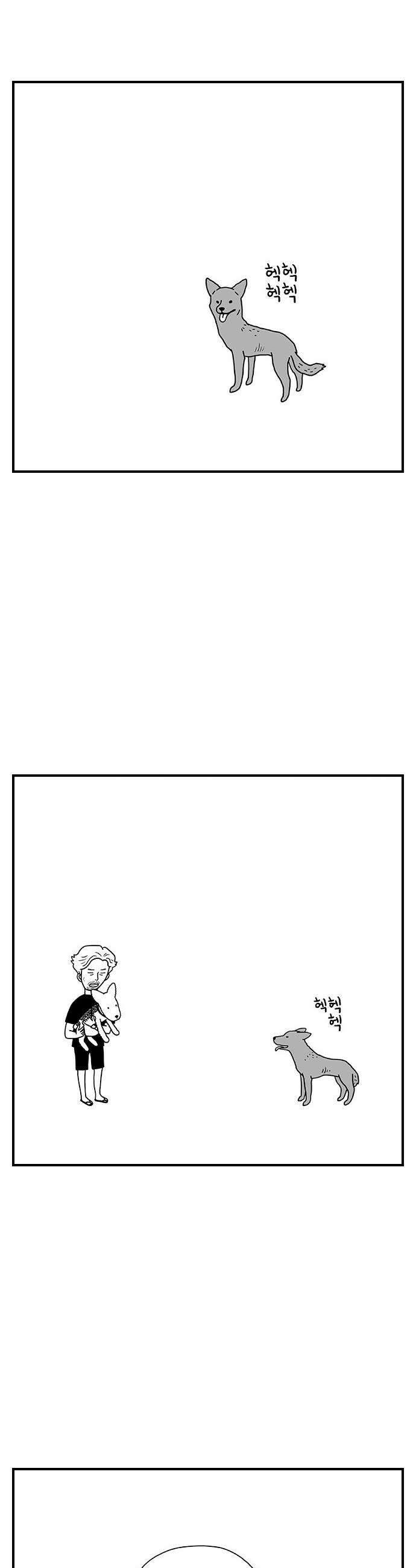 펫로스클럽 32 캘리 프롬 사우스 코리아 9
