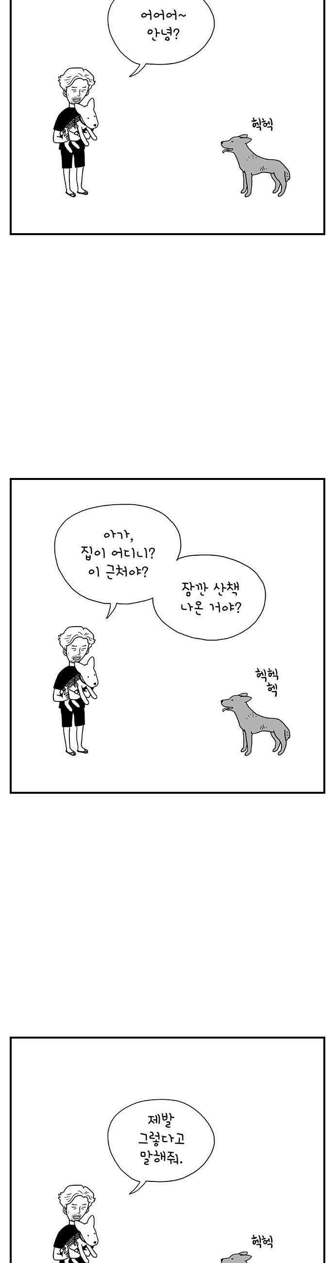 펫로스클럽 32 캘리 프롬 사우스 코리아 10