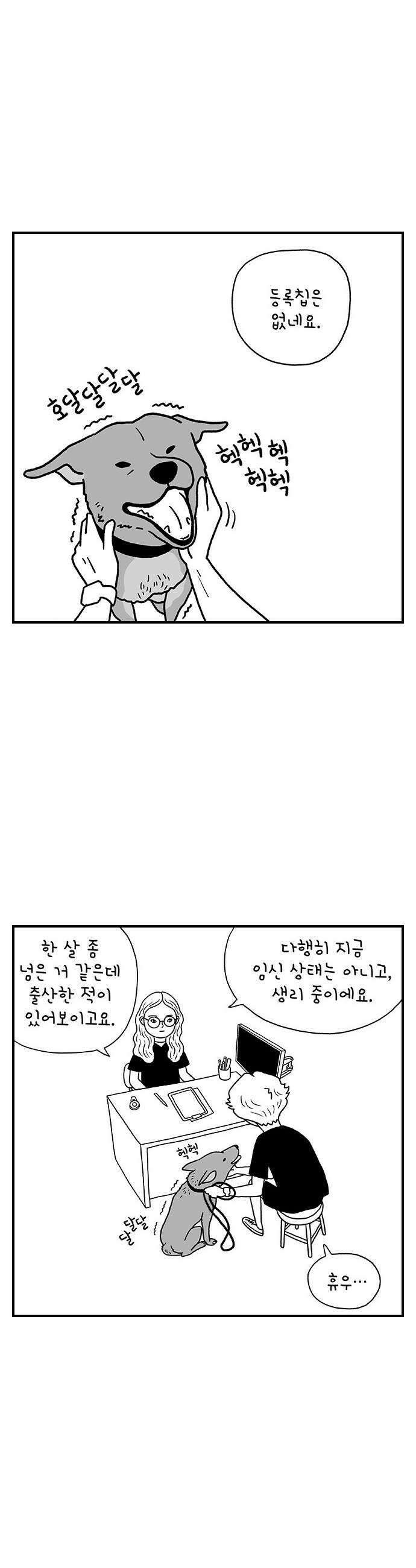 펫로스클럽 32 캘리 프롬 사우스 코리아 12