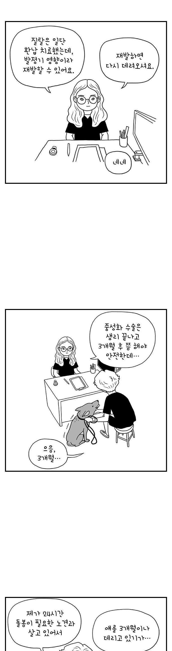 펫로스클럽 32 캘리 프롬 사우스 코리아 13