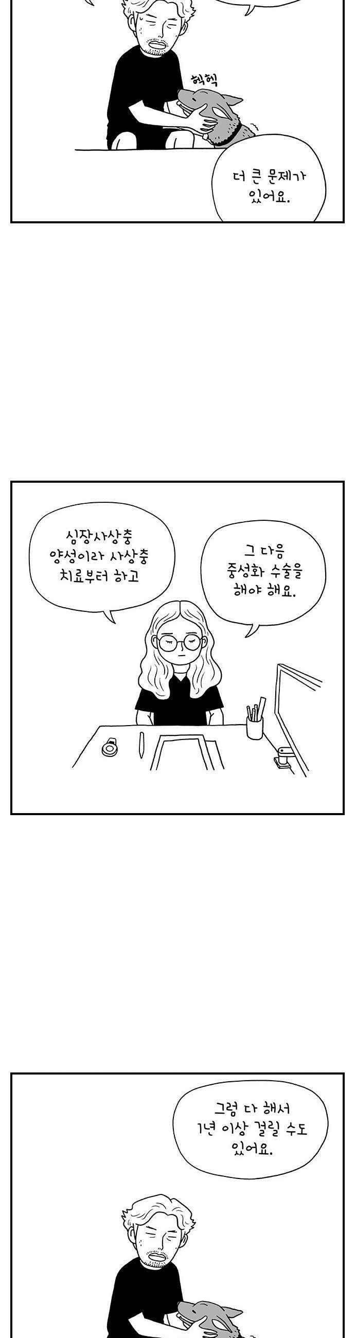 펫로스클럽 32 캘리 프롬 사우스 코리아 14