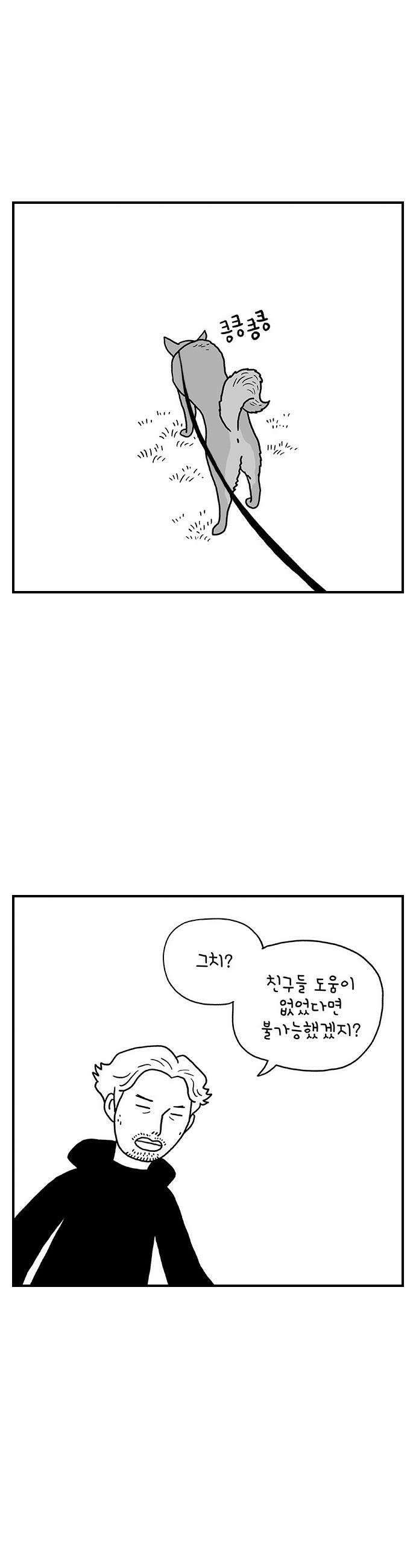 펫로스클럽 32 캘리 프롬 사우스 코리아 16