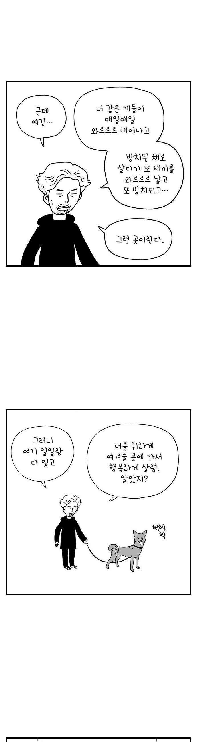 펫로스클럽 32 캘리 프롬 사우스 코리아 20