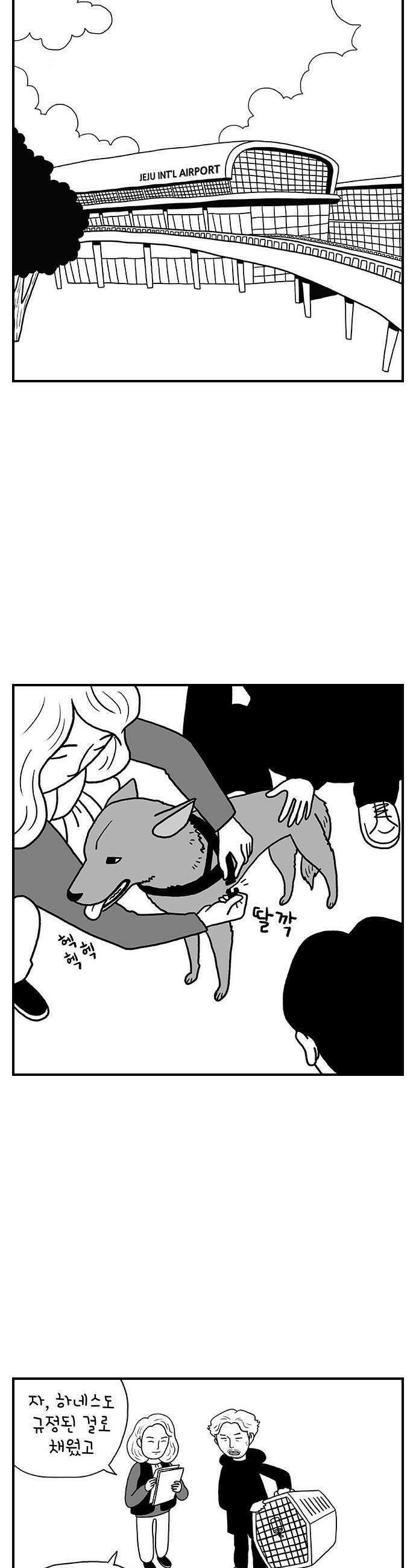 펫로스클럽 32 캘리 프롬 사우스 코리아 21
