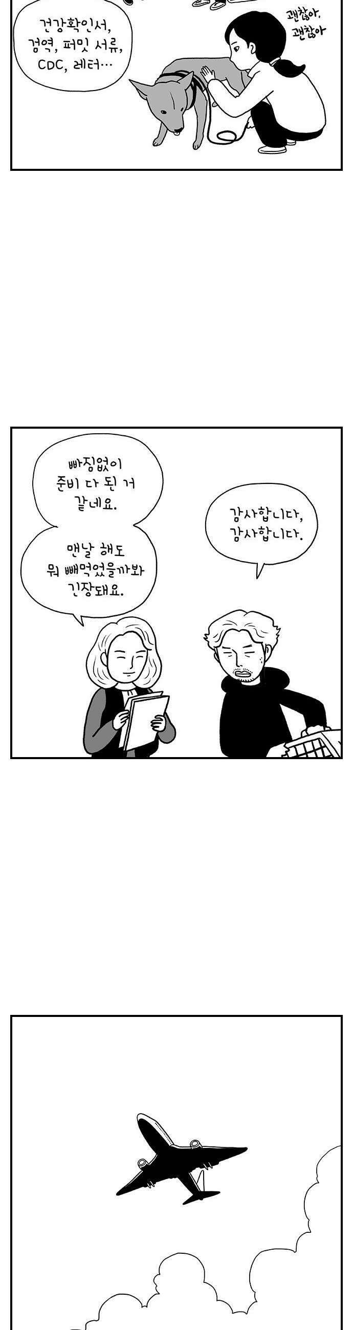 펫로스클럽 32 캘리 프롬 사우스 코리아 22