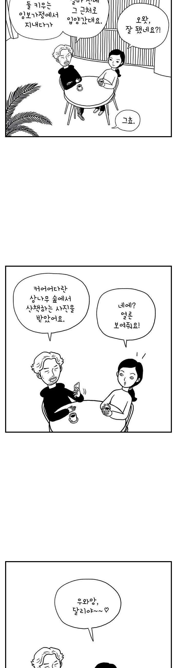 펫로스클럽 32 캘리 프롬 사우스 코리아 29