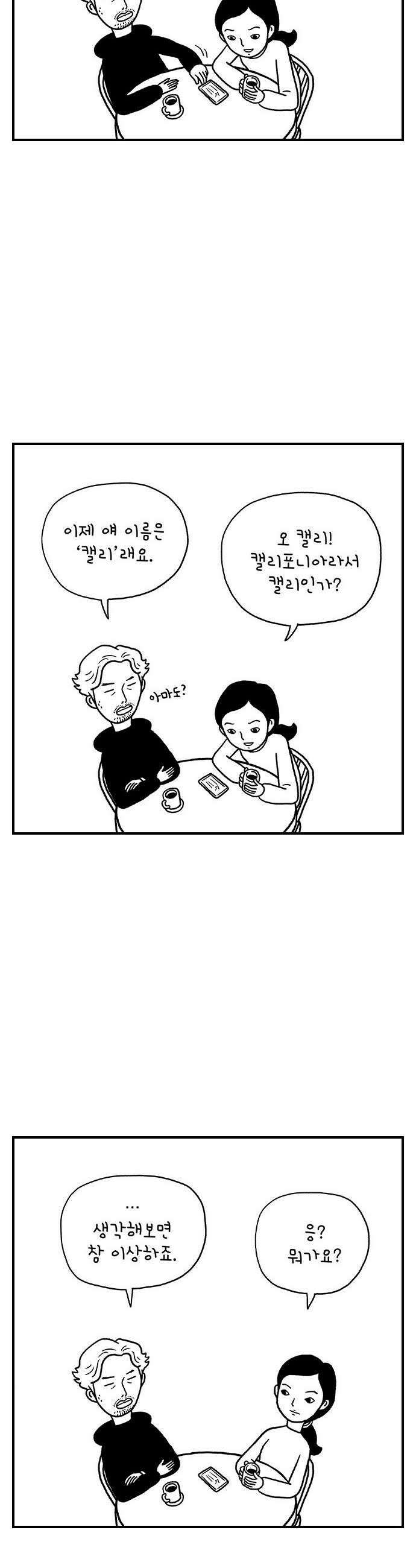 펫로스클럽 32 캘리 프롬 사우스 코리아 30