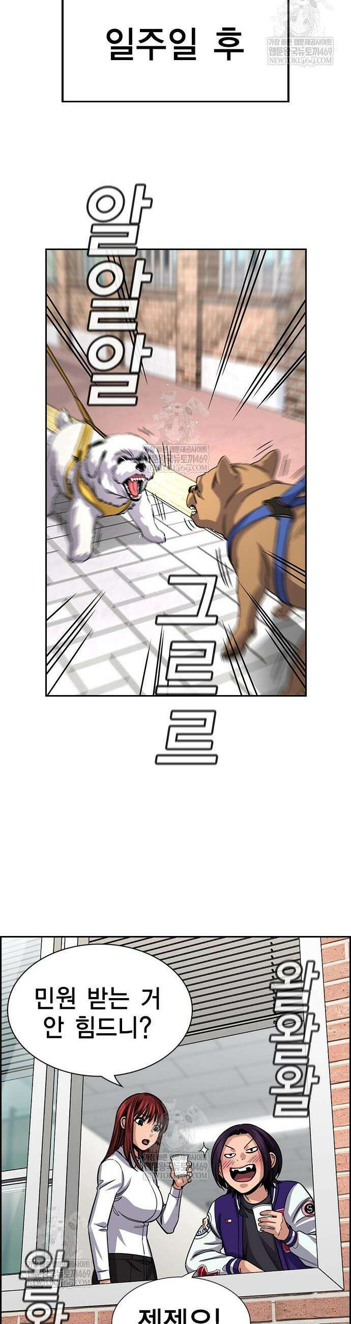 참교육 242화 22