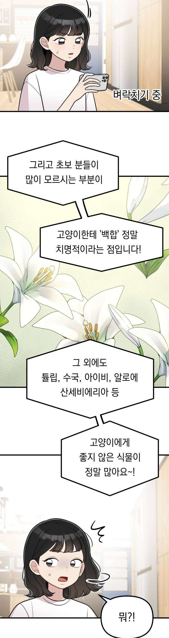 지유지요 35화 10