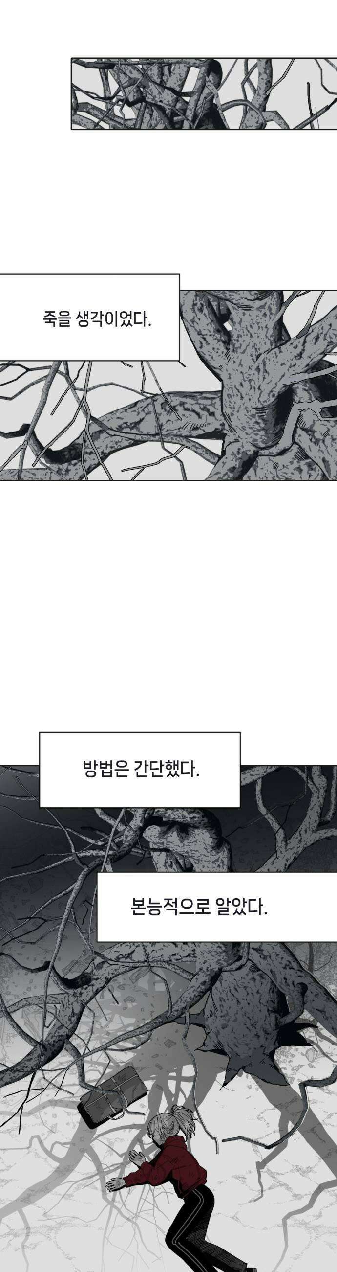 비터사이드 크렌베리스 036 길잡이 별14 5