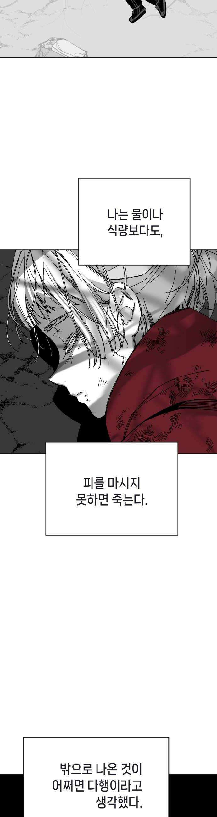 비터사이드 크렌베리스 036 길잡이 별14 6