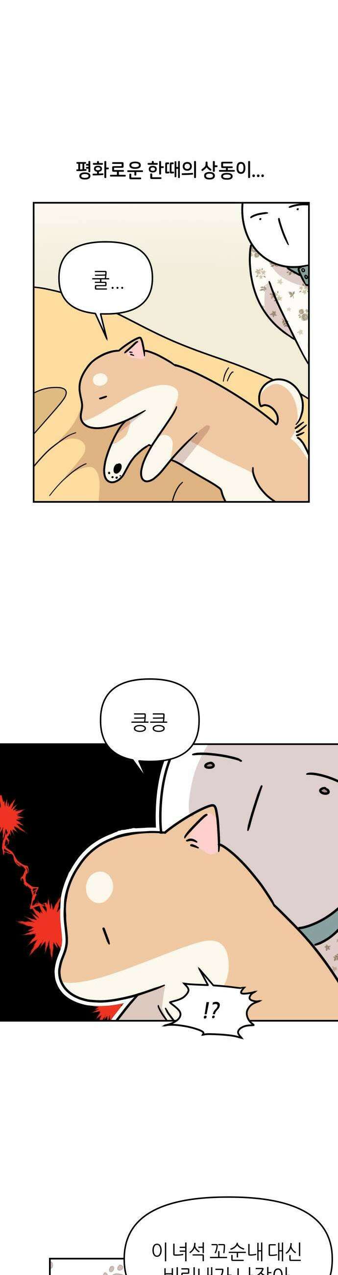 시바, 만만치 않다 96화 관리하는 강아지 1