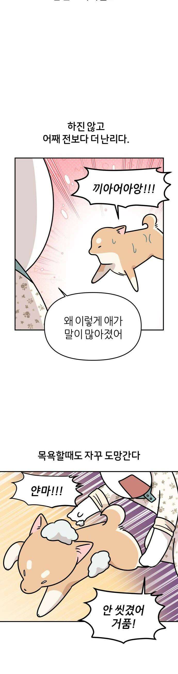 시바, 만만치 않다 96화 관리하는 강아지 4