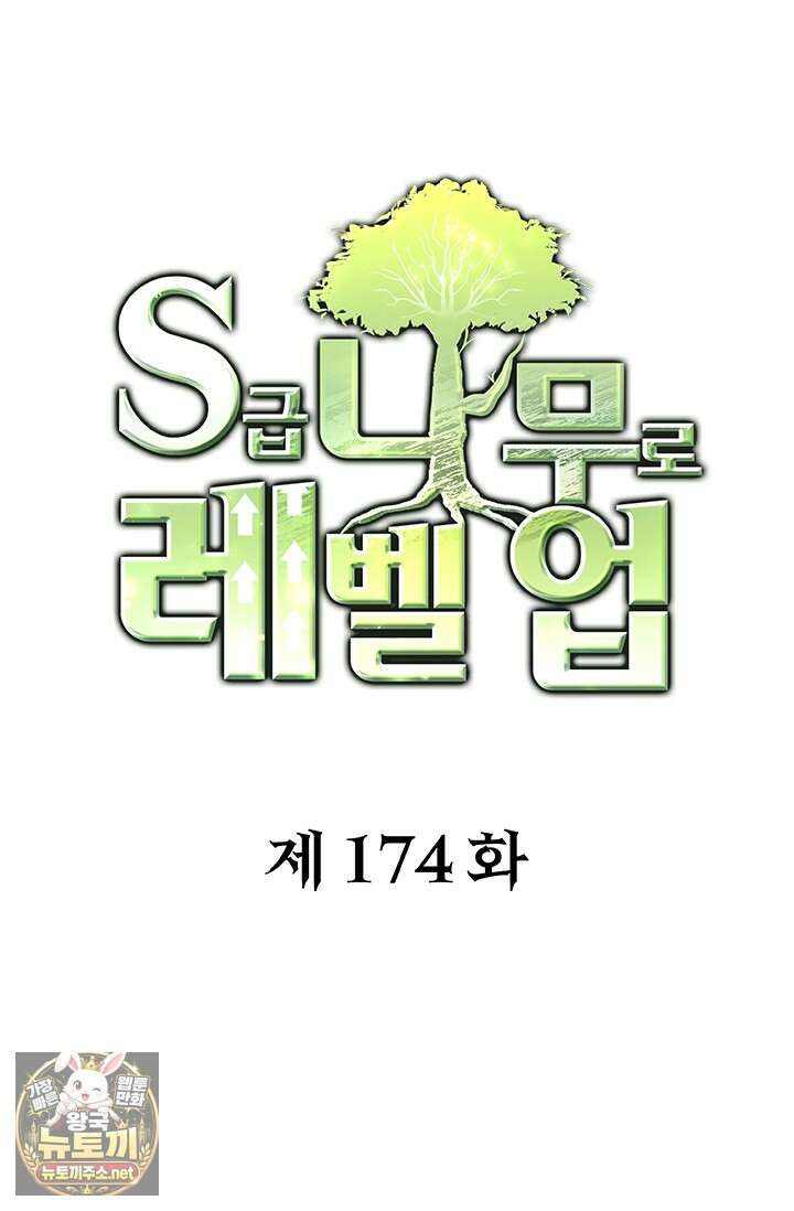 S급 나무로 레벨업 174화 1