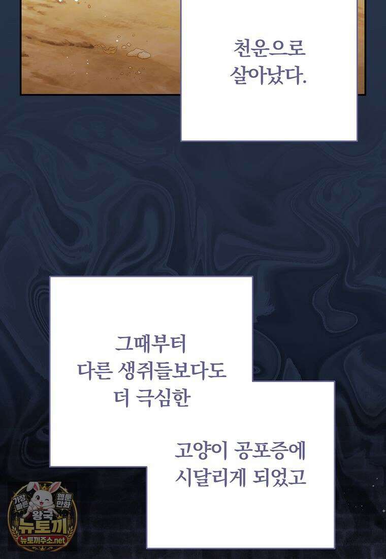 멍문세가를 호령하는 아기 고양이입니다 15화 4