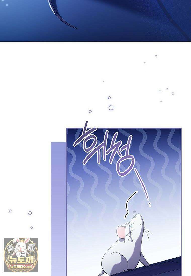 멍문세가를 호령하는 아기 고양이입니다 15화 16