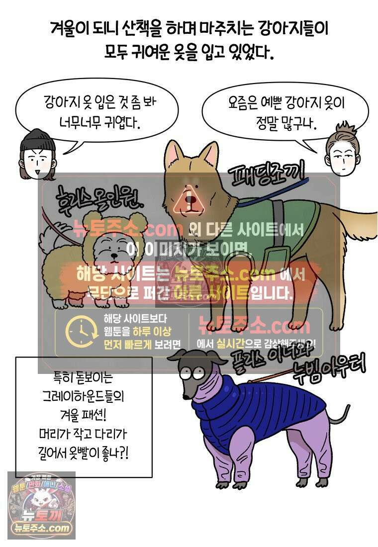 극한견주 시즌2 45화 솜이의 겨울 산책룩 2
