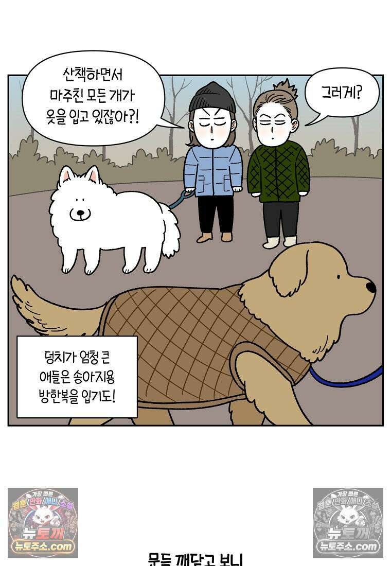 극한견주 시즌2 45화 솜이의 겨울 산책룩 3