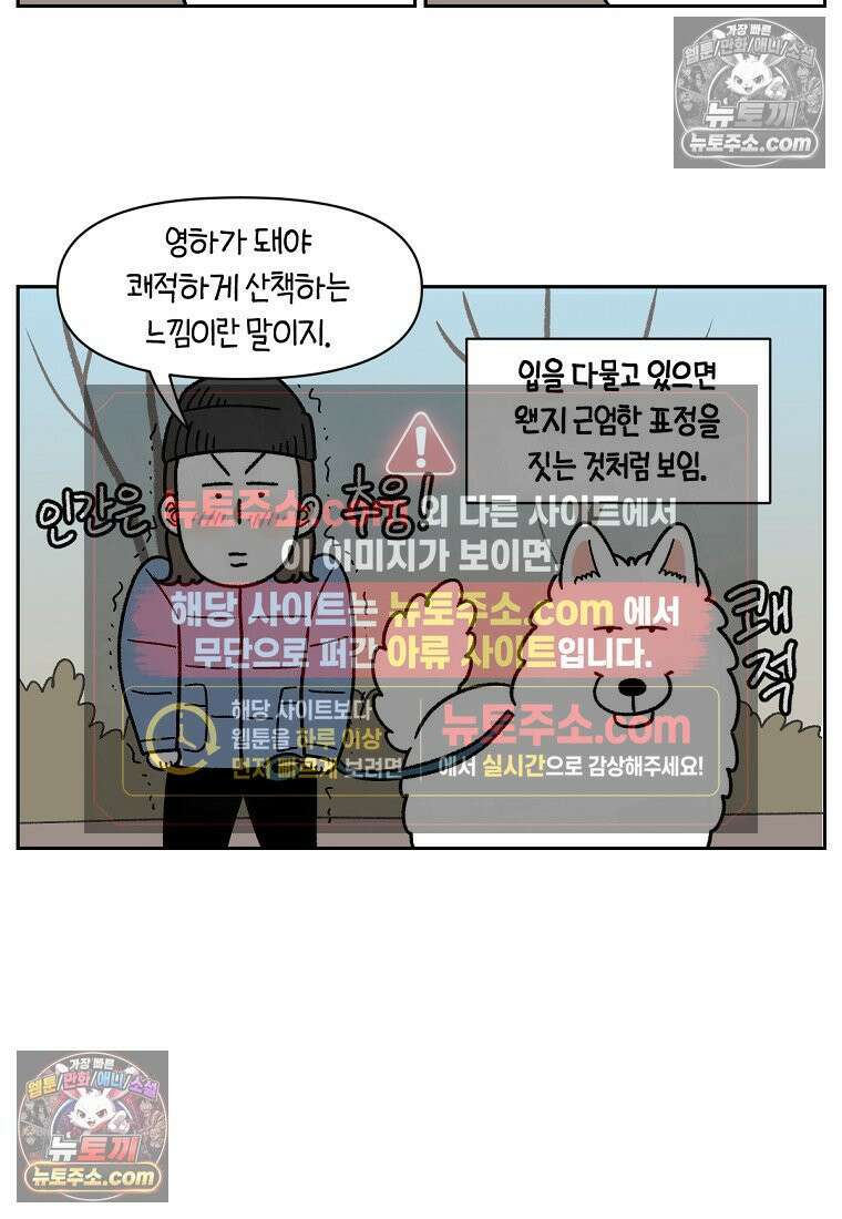 극한견주 시즌2 45화 솜이의 겨울 산책룩 6