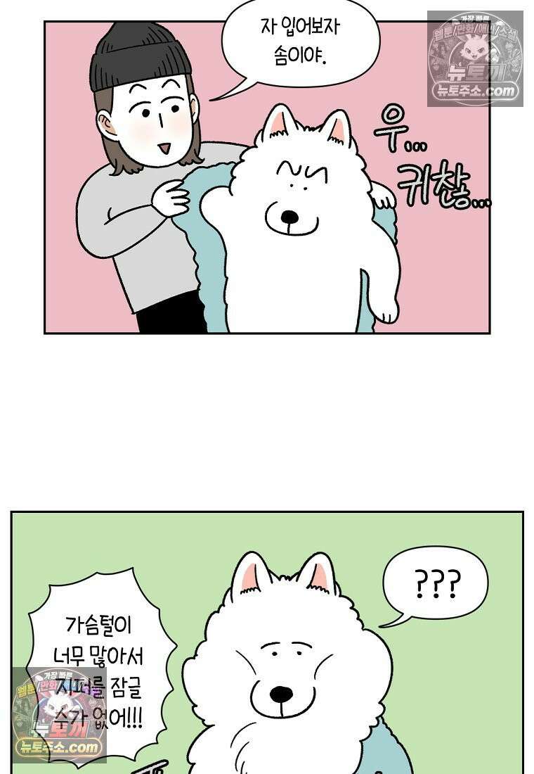 극한견주 시즌2 45화 솜이의 겨울 산책룩 9