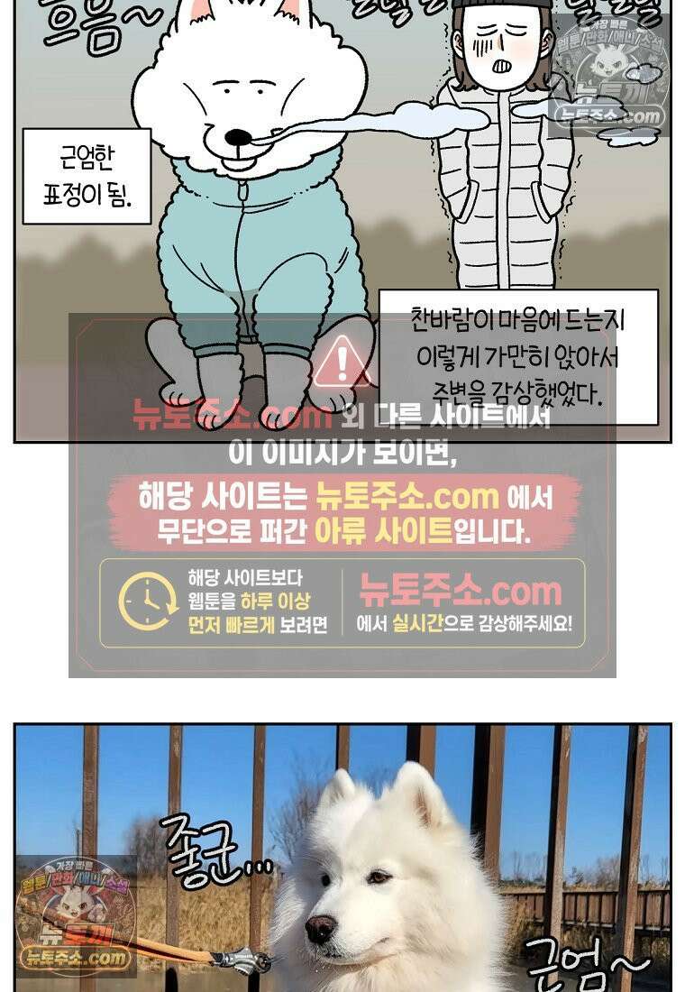 극한견주 시즌2 45화 솜이의 겨울 산책룩 13