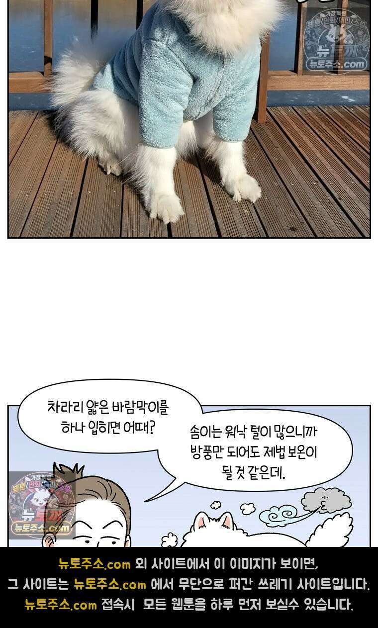 극한견주 시즌2 45화 솜이의 겨울 산책룩 14