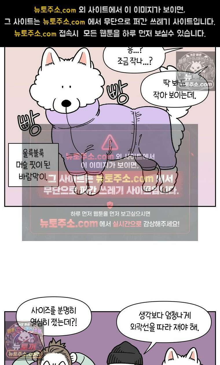 극한견주 시즌2 45화 솜이의 겨울 산책룩 19