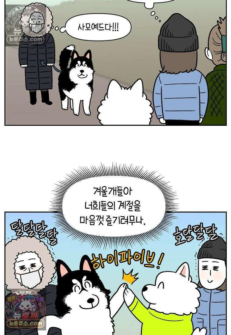 극한견주 시즌2 45화 솜이의 겨울 산책룩 25